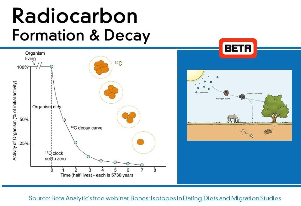 Radiocarbon Formation and Decay